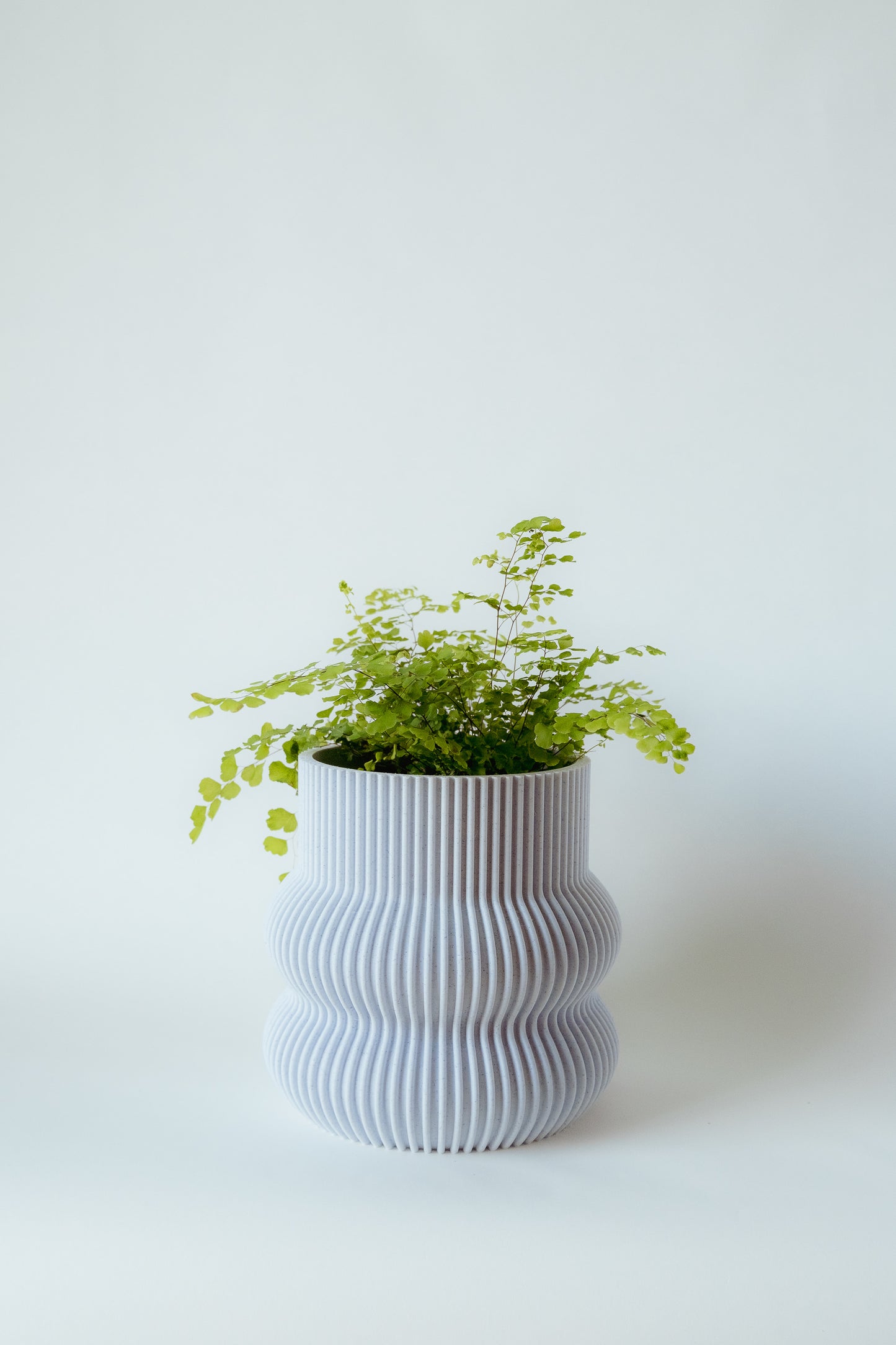 Curvy Decorative Pot