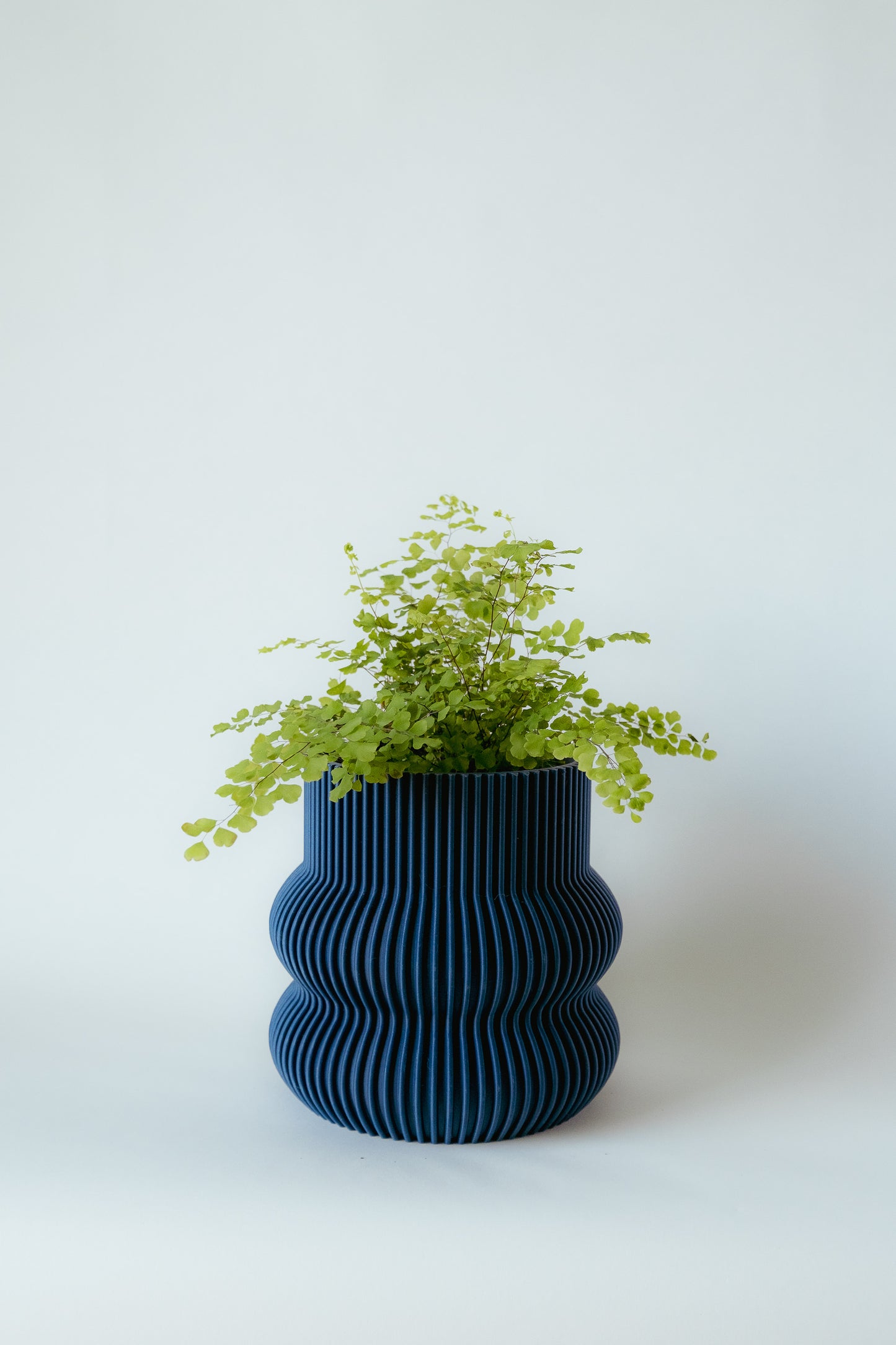 Curvy Decorative Pot