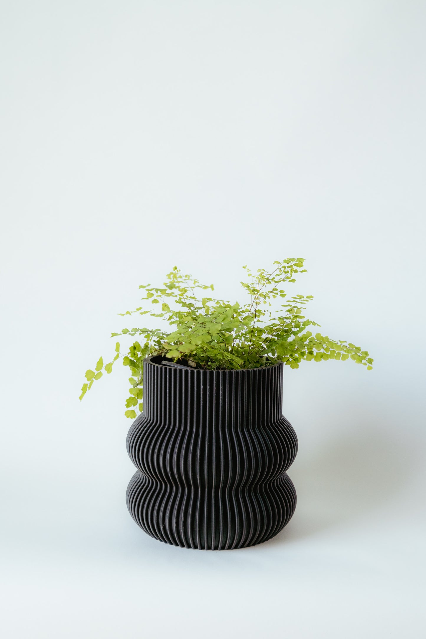 Curvy Decorative Pot