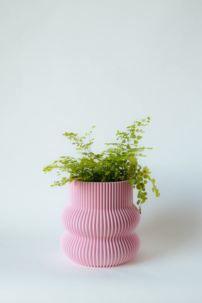 Curvy Decorative Pot