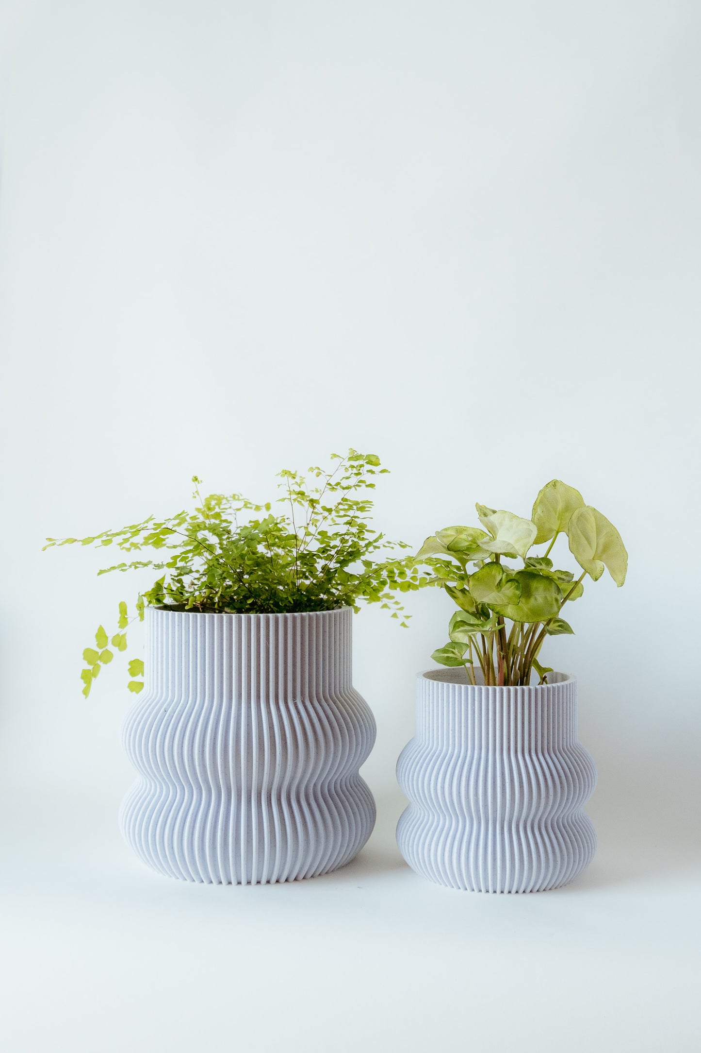 Curvy Decorative Pot